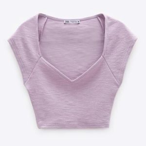Never Worn Purple Zara Crop Top